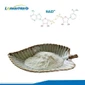 Nad nicotinamida adenina dinucleotídeo